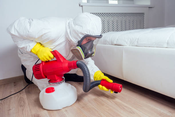 Best Pest Removal Services  in Estero, FL