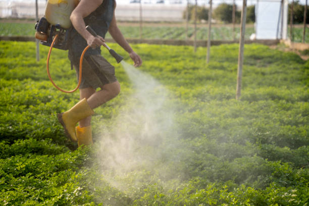 Best Pest Inspection Near Me  in Estero, FL