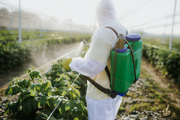 Best Bed Bug Extermination  in Estero, FL